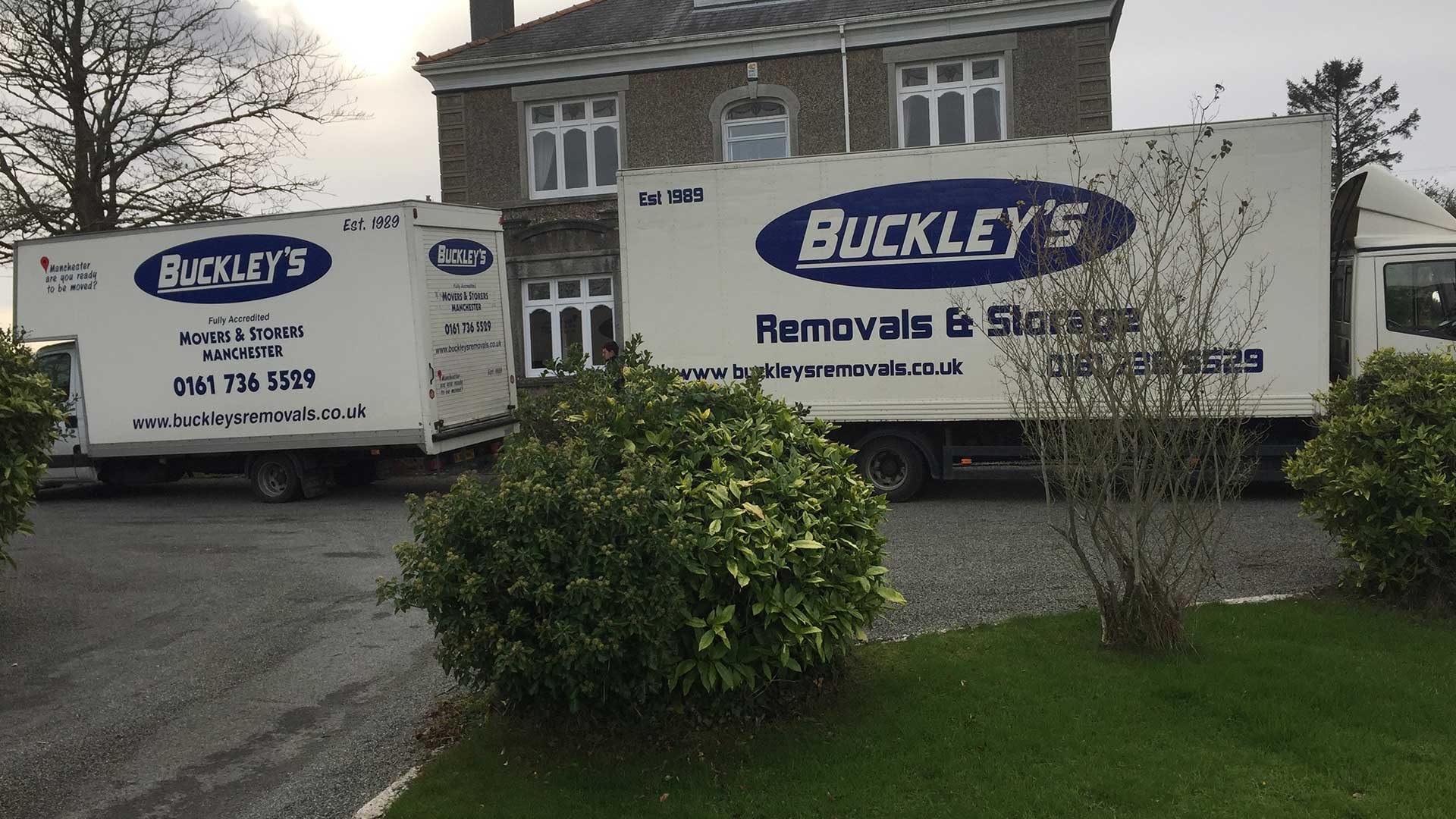 buckleys moving company in action
