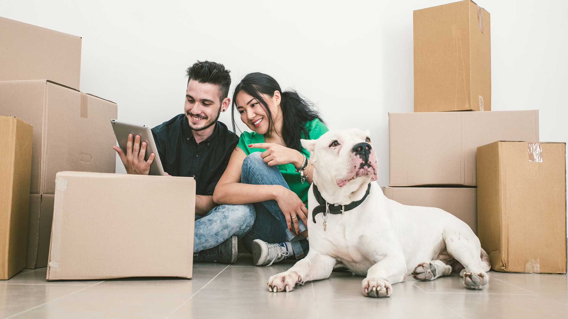 stress free House Removals from Buckleys